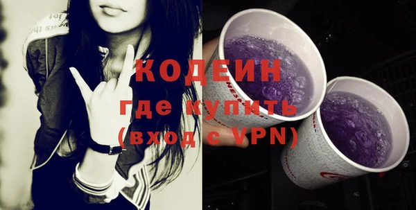 гидра Няндома
