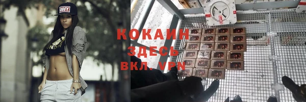 СК Алексин