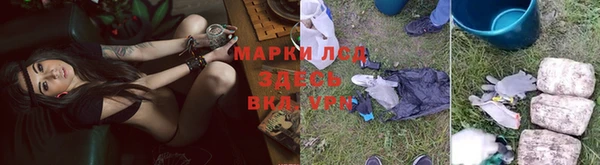 ГАЛЛЮЦИНОГЕННЫЕ ГРИБЫ Алексеевка
