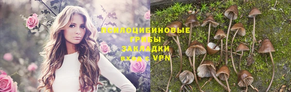 СК Алексин