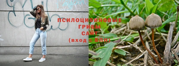 ГАЛЛЮЦИНОГЕННЫЕ ГРИБЫ Алексеевка