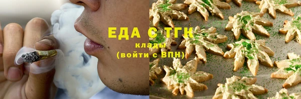 гидра Няндома