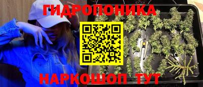 дмт Рязань
