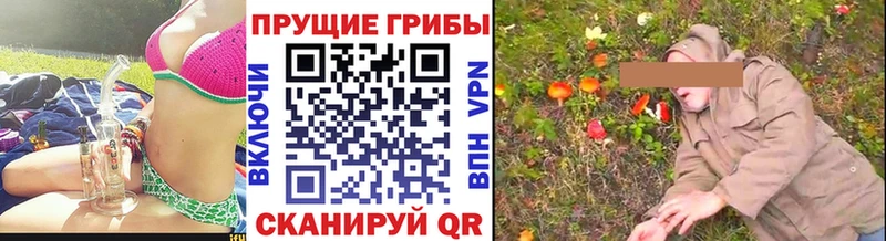 где продают   omg онион  Галлюциногенные грибы прущие грибы  Чайковский 