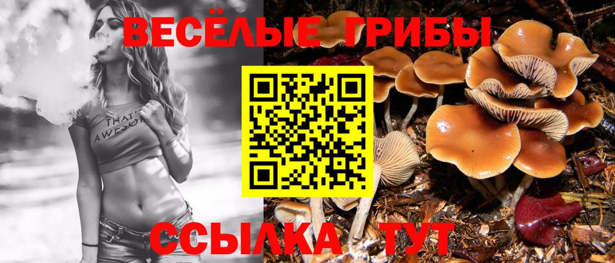 Галлюциногенные грибы GOLDEN TEACHER  Псилоцибиновые грибы Psilocybine cubensis  Вход с VPN  Чайковский 